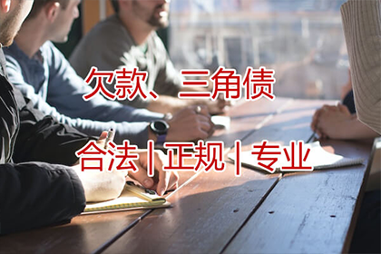 莱山清数公司